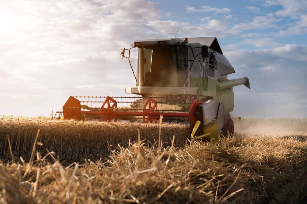 Wheat Falling Back to Start Friday Trade